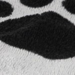 paw gray