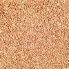 Grain Place Foods 25 lb Organic Hard White Winter Winter Non-GMO - 2 of 3