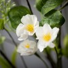 Sullivans Artificial Cream Blossom And Leaf Spray 32"H - 2 of 2
