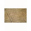 Bon Tool 32-684 Fossil Stamp--Protocolphon - 3 of 3