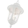Livex Lighting Oxford 3 - Light Pendant in  Textured White - 3 of 4