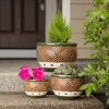 Zings & Thingz Set of 3 Indoor/Outdoor Ceramic Planters Jade - 4 of 4