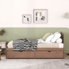 Lyngins Modern Twin Size Bed Frame with Headboard, Platform Bed with 2 Storage Drawers, No Box Spring Needed, Space-Saving Storage Beds - 4 of 4