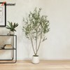 Romswi 6 ft Olive Artificial Tree, with White Round Planter, Pre Potted Artificial Tree, with Lifelike Wood Trunk and Natural Fruits for Indoor Decor - 4 of 4