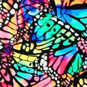 butterfly wings