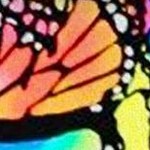 butterfly wings