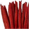 20'' x 1'' Olivia & May Red Bunny Tail Dried Foliage: Natural Tabletop Decor, Indoor Use - 3 of 4