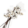Alilang Pampas Grass Dried Floral Arrangement with Yellow Strawflower Accents, 17.5 Inches - Beige - 4 of 4