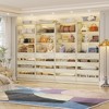 Aheaplus Closet System with 4 Drawers and Adjustable Shelves - 2 of 4