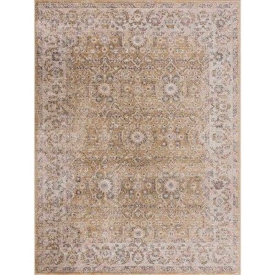 Hauteloom Anana Gold & Beige Area Rug