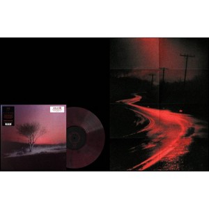 Joji - P*** In The Wind - Fruit Punch Black Mist (Target Exclusive, Vinyl) - 1 of 1