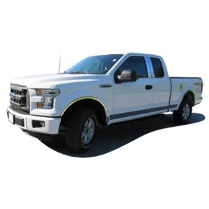 QAA is Compatible with 2015-2020 Ford F-150 12 Piece Stainless Body Molding Insert Trim Kit, 1.5" Width MI55316 - 1 of 4
