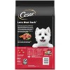 Cesar Carrot, Pea, Steak, Vegetable, Beef and Red Meat Flavor Small Breed Dry Dog Food - 5lbs - 2 of 4