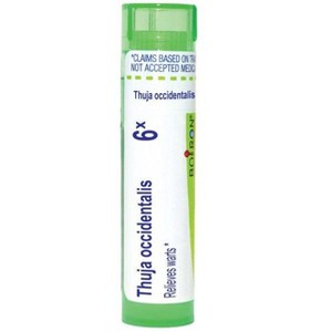 Thuja Occidentalis 6X by Boiron Homeopathic Single Medicine For First Aid  -  80 Pellet - 1 of 4