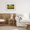 Stupell Industries Sunflower Farm Floral Field Framed Print Under Glass Art - 3 of 4