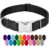 Country Brook Petz Premium Nylon Dog Collar with Metal Buckle for Small Medium Large Breeds - Vibrant 30+ Color Selection - 2 of 4