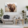 Stupell Industries Grazing Longhorn Cattle Farmland Animal Portrait Canvas Wall Art - 2 of 4