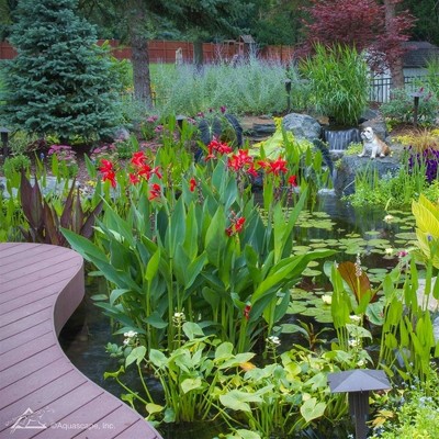 Aquascape 10 lb Natural Pond Plant Potting Media