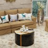27.5" Modern Round Mirror Coffee Table with Glass Top, Compact Marble-Pattern Center Table or End Table for Living Room, Apartment-Panipeachy - 2 of 4