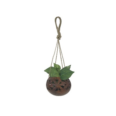 Beachcombers 4.75" Coco Palm Frond Carved Hanging Wood Planter Coastal Decor