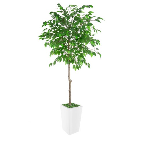 Artificial Fiddle Leaf Fig Tree 5FT, Faux Fiddle Leaf Fig Tree with Tall White Planter - image 1 of 4