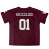 NCAA Montana Grizzlies Toddler Boys' Jersey - 2 of 3