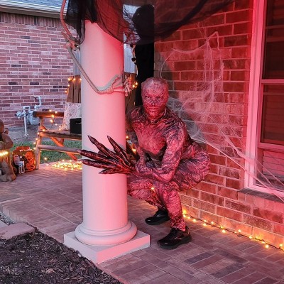 Guest review image 1 of 1, zoom in