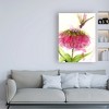 Trademark Fine Art -Dawn Derman 'Dragonfly and Zinnia' Canvas Art - 3 of 3