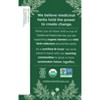 Traditional Medicinals Rose Hips with Hibiscus Organic Tea - 32ct - 3 of 4