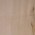 Pacific Maple
