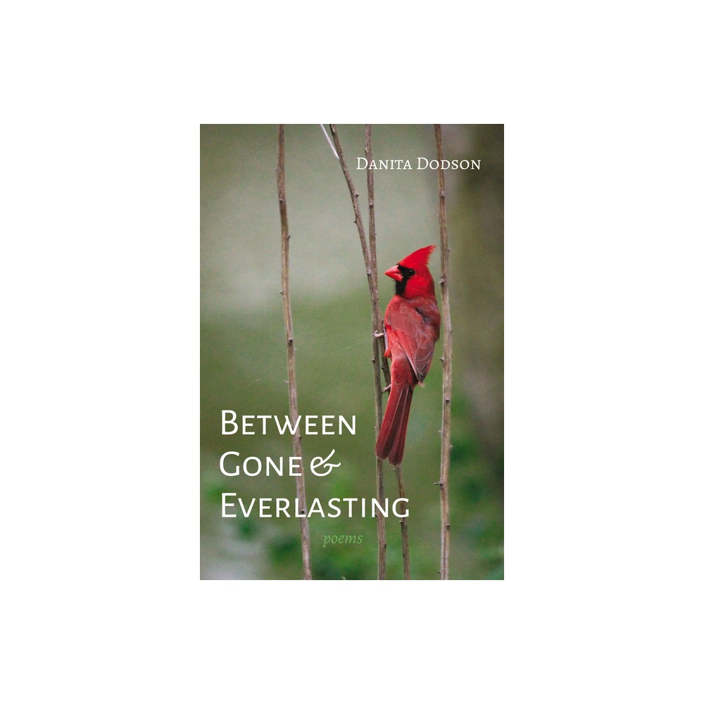 Between Gone and Everlasting - by Danita Dodson (Paperback)