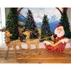 Novelty Lights LED Pre-Lit Yard Art Christmas Decoration - 4 of 4