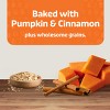 Blue Buffalo Boo Bars Crunchy Biscuits, Pumpkin & Cinnamon Halloween Dog Treats - 11oz - 4 of 4