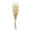 Bunny Tail Bundle (Set of 2) - 2 of 2