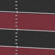 south carolina gamecocks