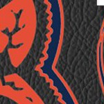 illinois fighting illini
