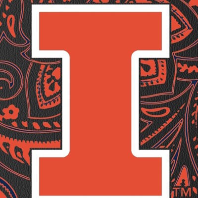 illinois fighting illini
