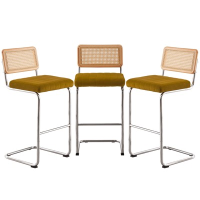 Bekrvio Bar Stools Set of 2/3/4, 26”/30" Barstool with Rattan Back, Velvet-Upholstered & Chrome Frame,Mid Century Modern Kitchen Stool for Island