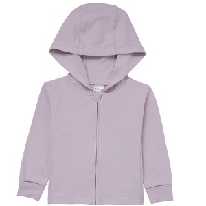 Hanes Pure Comfort Baby Lightweight French Terry Full-Zip Hoodie, Organic Cotton, Boys & Girls - 1 of 3