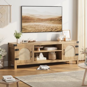 Rattan TV Stand for Living Room, Boho Entertainment Center with Rattan Door - 1 of 4