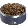 Hydrapeak Non Slip Stainless Steel Dog Bowl - 2 of 4