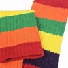 Rainbow Slouch Socks the Sock Panda (Women's Sizes, Adult Medium) - Heavyweight - 3 of 4