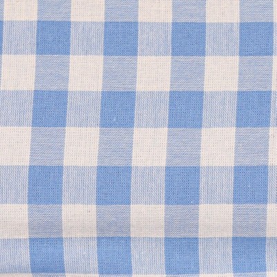blue gingham