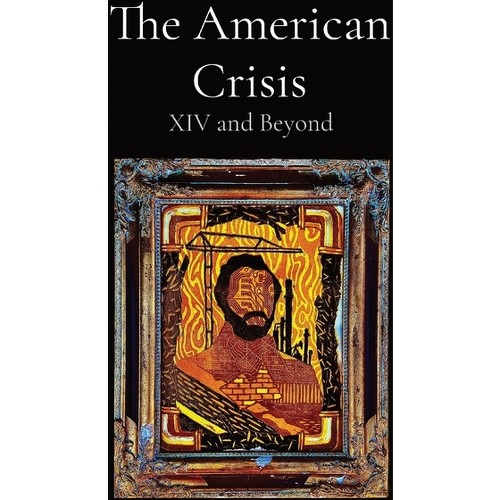 The American Crisis - by Nathaniel Welch (Paperback)