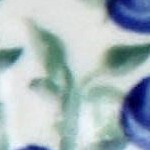 porcealin vine