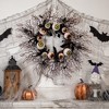 Northlight Eyeballs and Spiders Halloween Twig Wreath - 24" - Unlit - 2 of 4