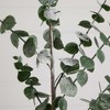 Nearly Natural 40-in Artificial Eucalyptus Stems, Set of 3 - 3 of 3