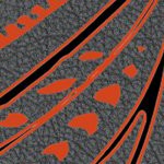 philadelphia flyers