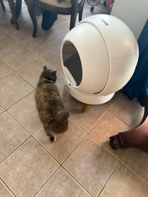 Guest review image 1 of 2, zoom in