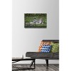 Trends International The Comedy Wildlife Photography Awards: Delphine Casimir - The Rainforest Dandy Unframed Wall Poster Prints - 2 of 4